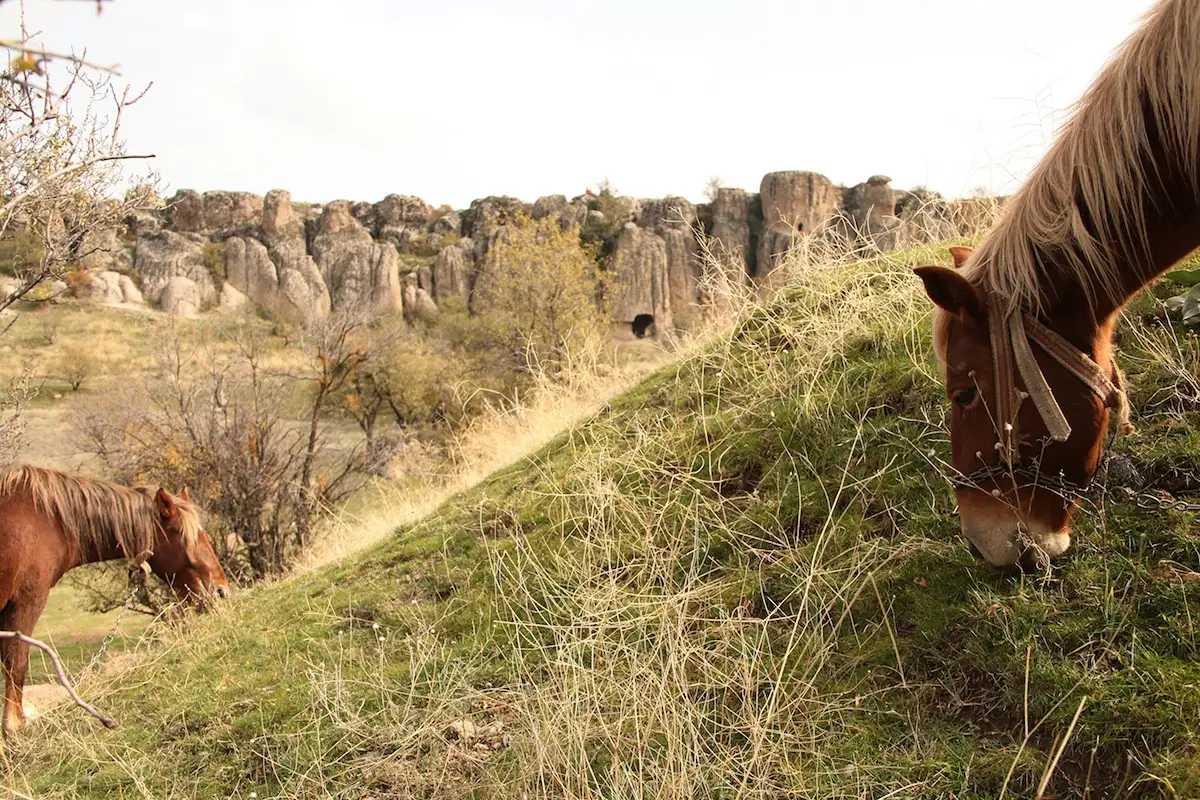 Konya Aileye Uygun Oteller | Çocuklu Aileler İçin Konforlu Oteller