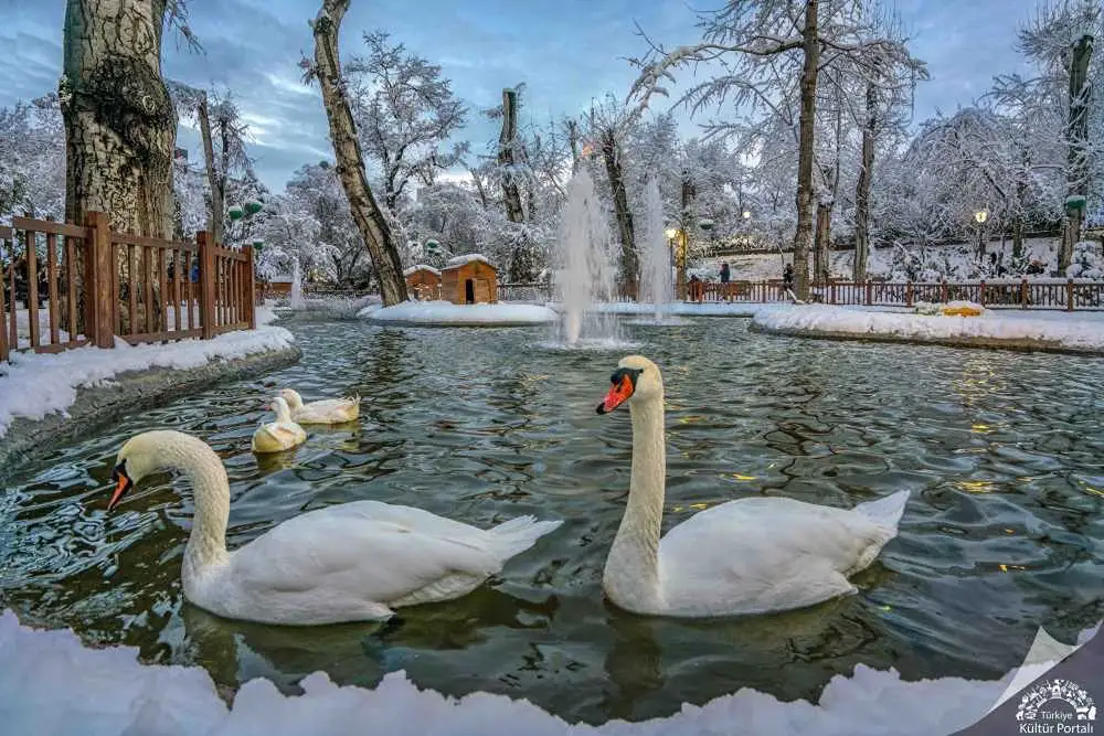 Ankara Lüks Oteller | Seçili Lüks Küçük ve Butik Oteller