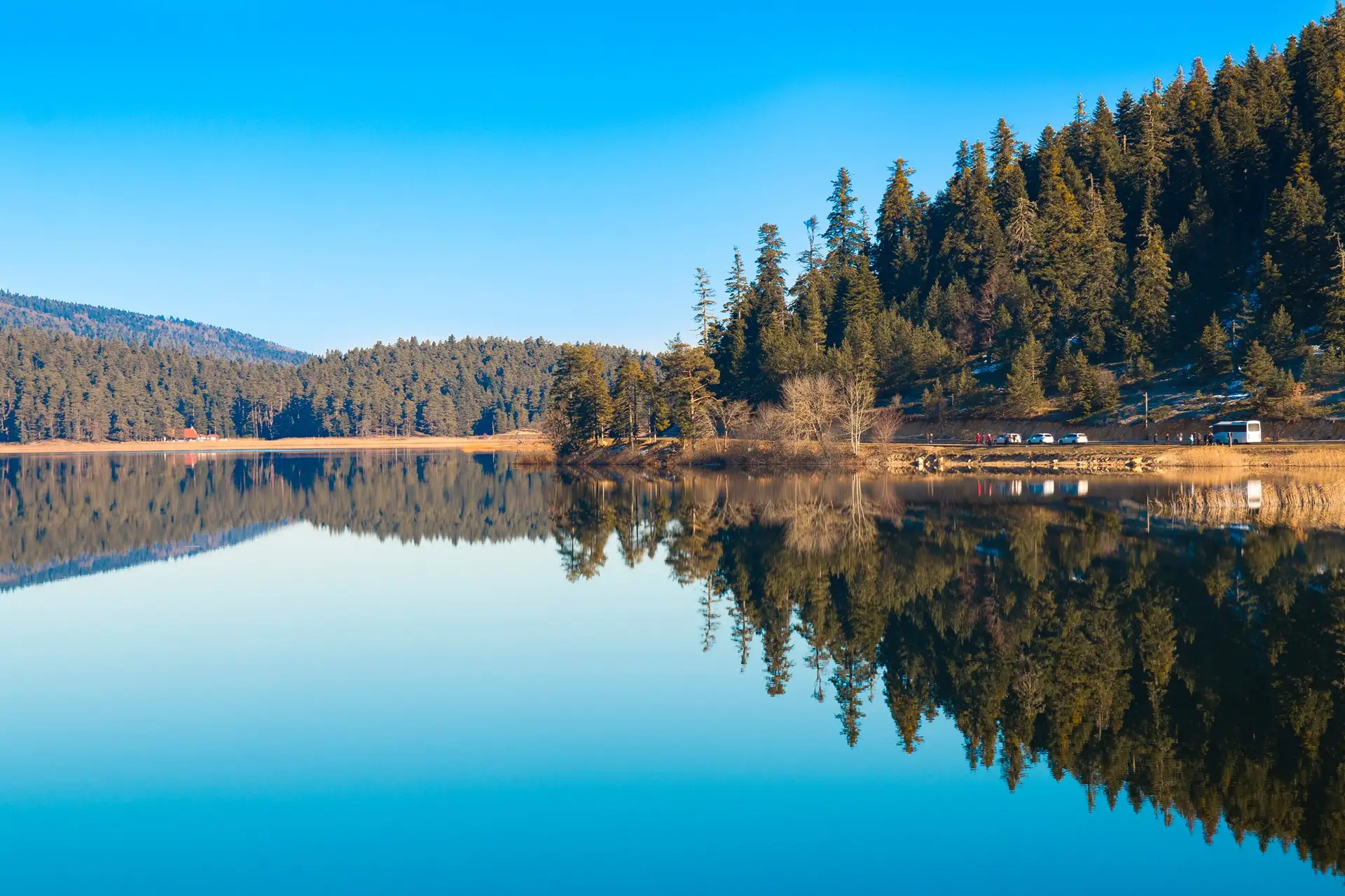 Bolu Evcil Hayvan Kabul Eden Oteller | Seçili Butik ve Küçük Oteller