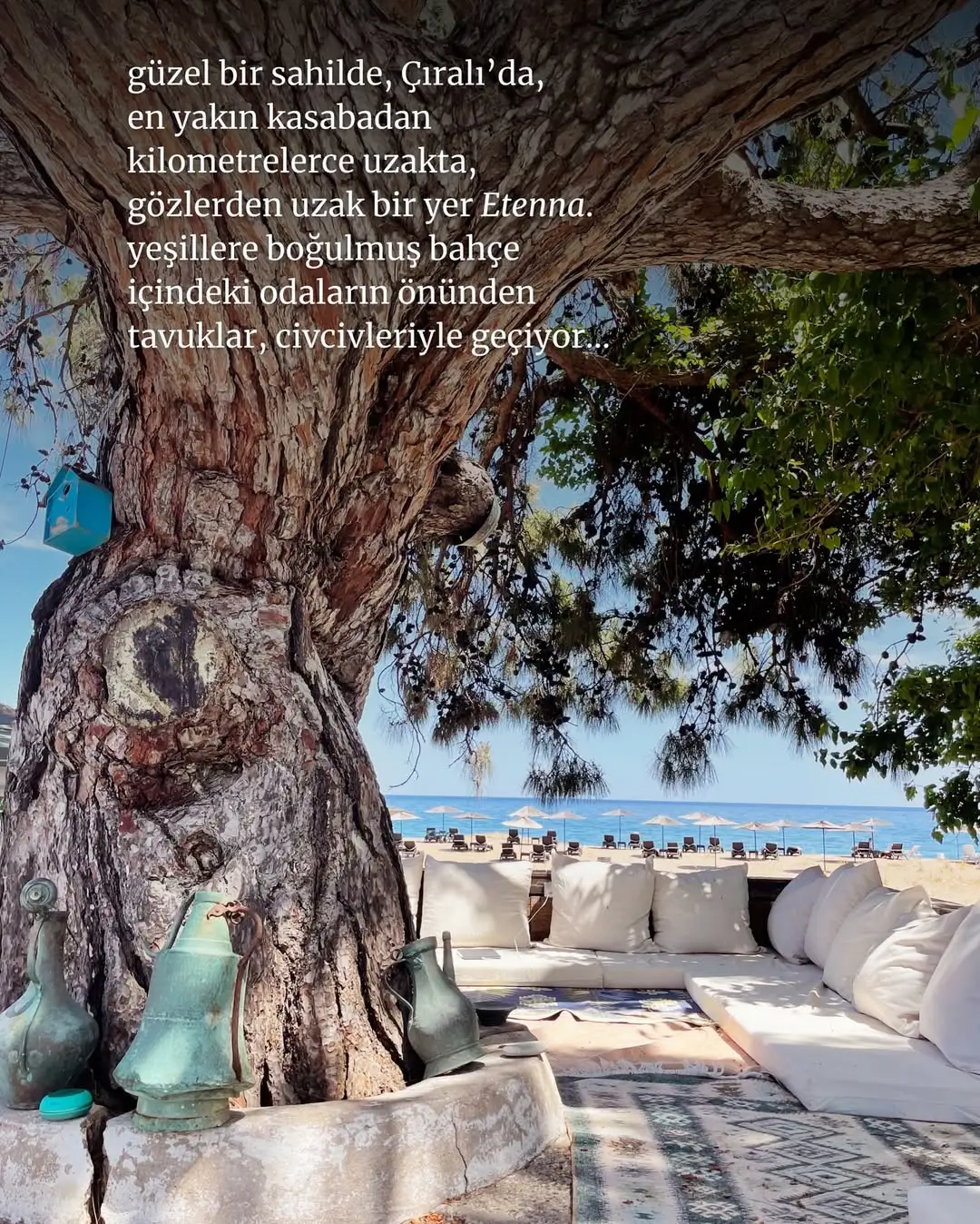 Etenna beach bungalows – Çıralı / Antalya