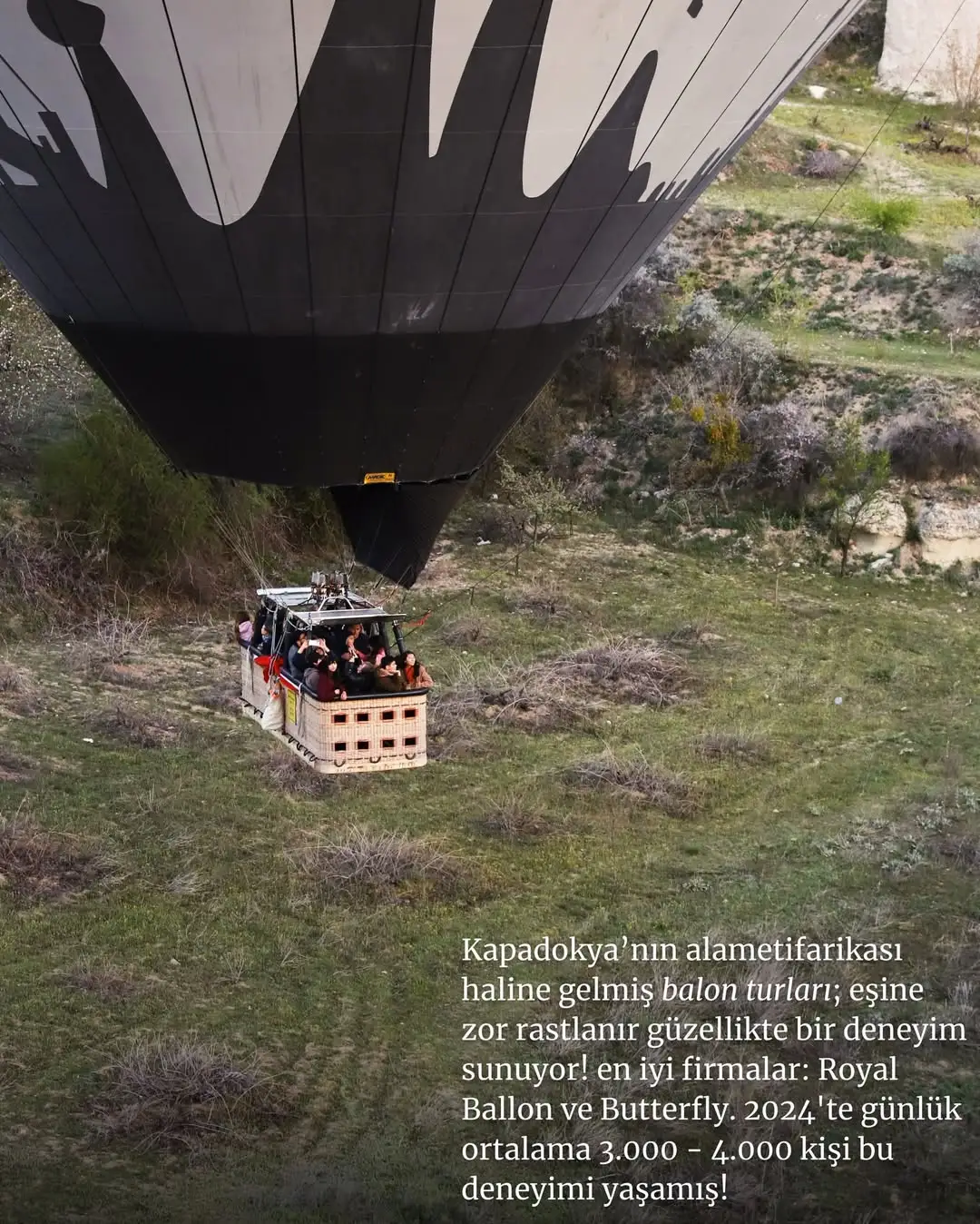 Royal balloon - Kapadokya / Nevşehir
