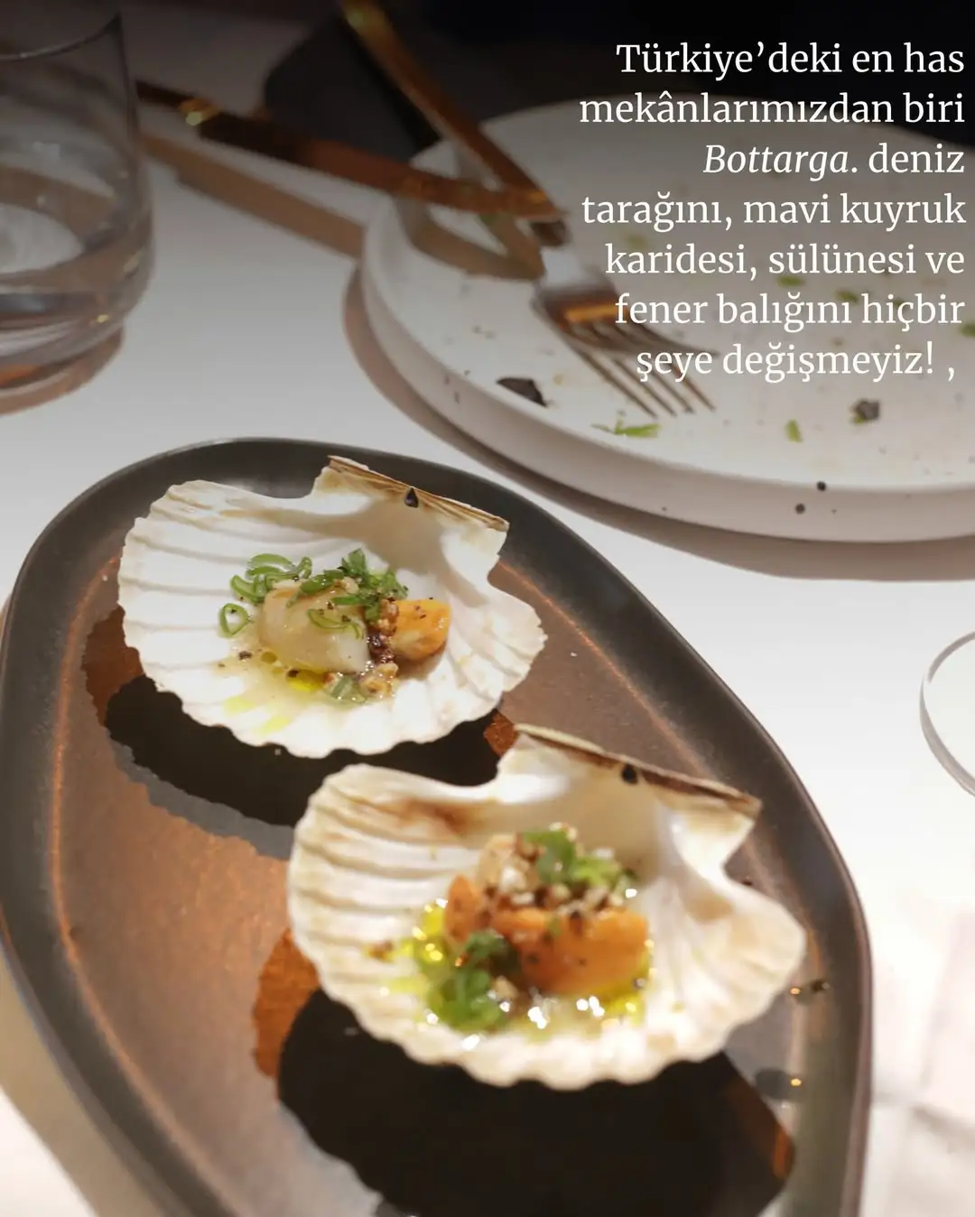 Bottarga_restaurant – Kuşadası / Aydın
