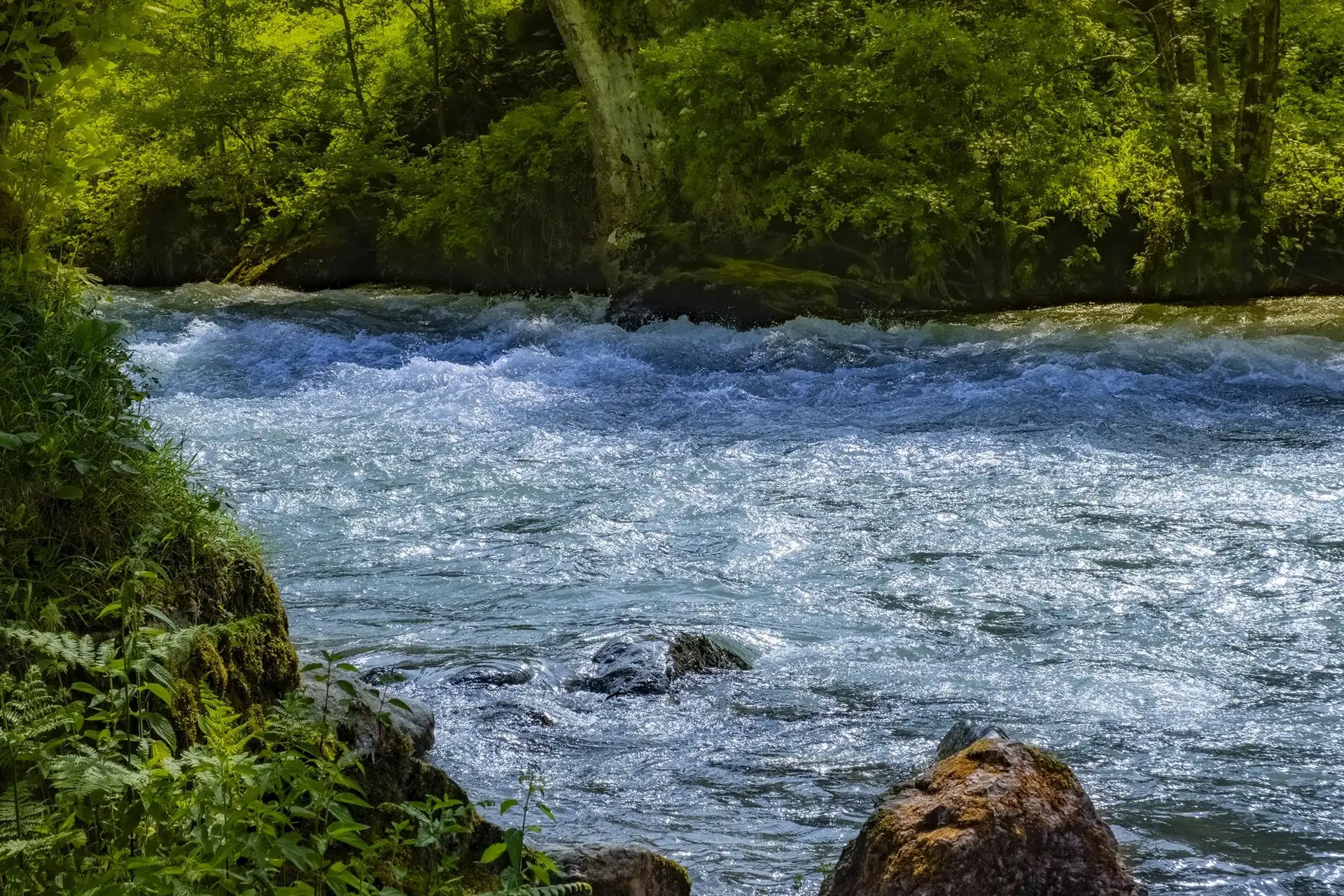 Trabzon'da Yemyeşil Ormanlar İçinde Gizli Yerler