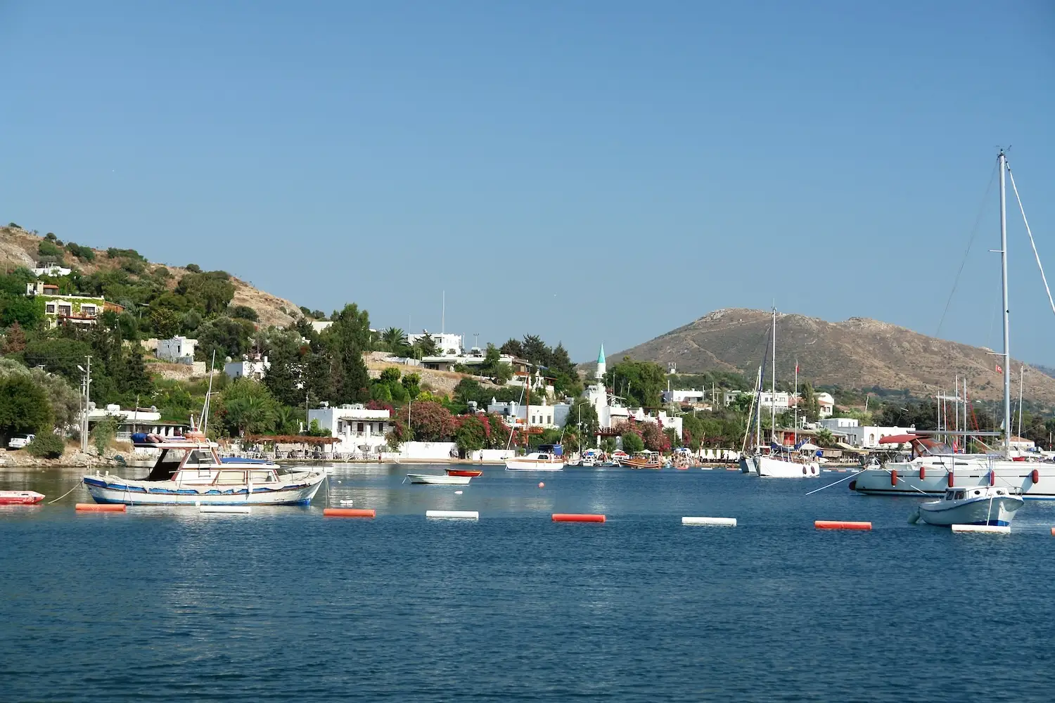 Bodrum g&uuml;m&uuml;şl&uuml;k