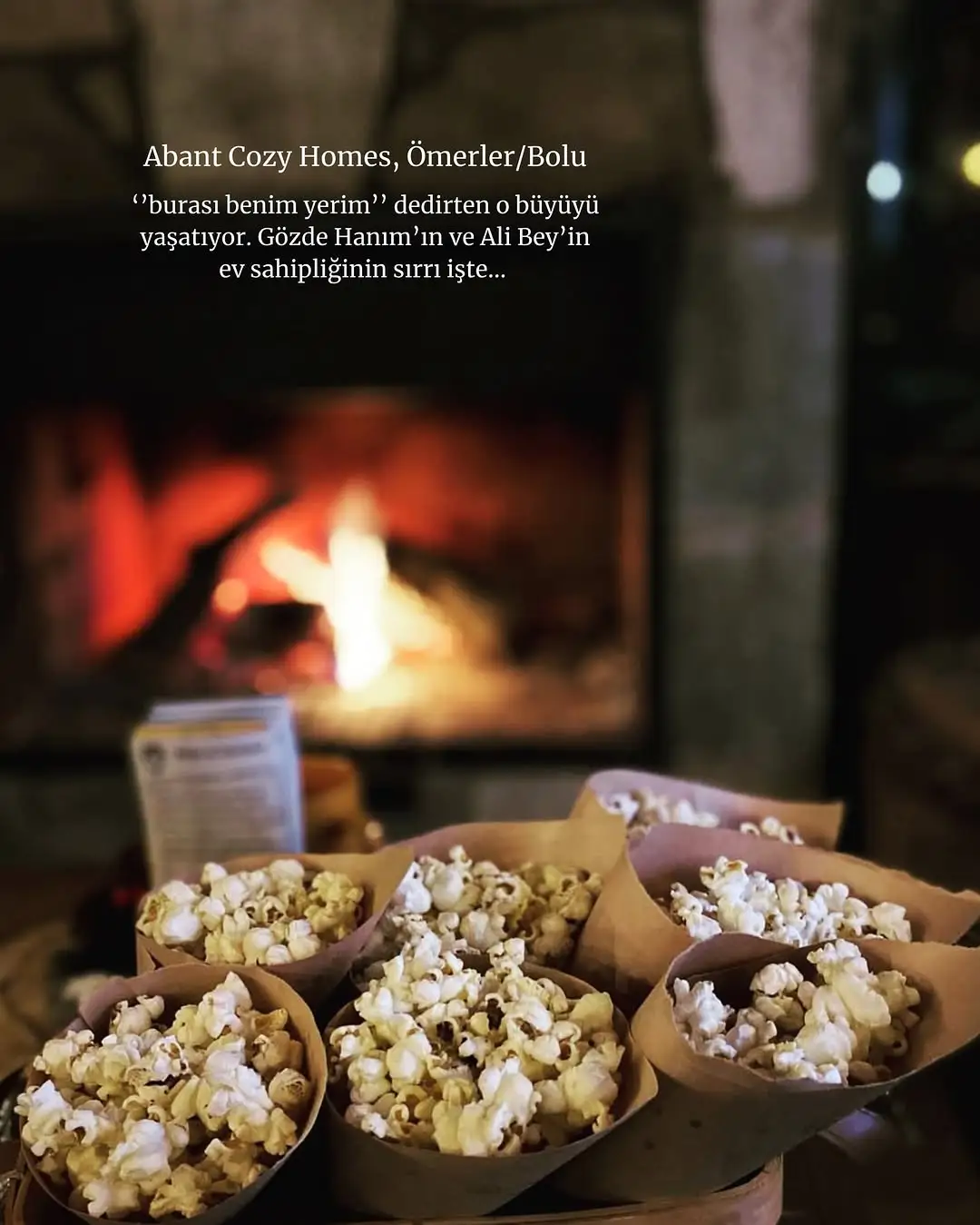 Abant Cozy Homes