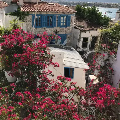 8 Oda Homes