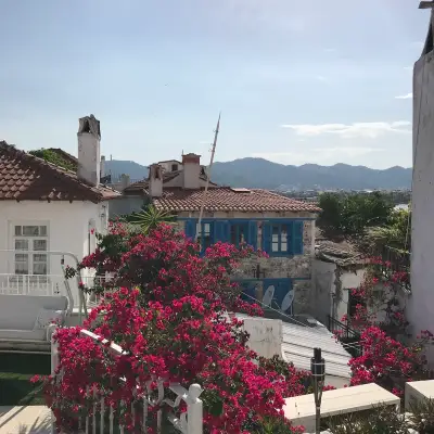 8 Oda Homes