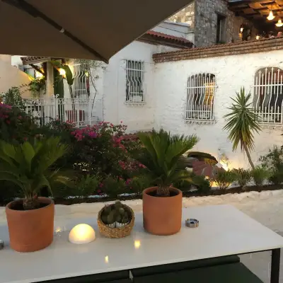 8 Oda Homes
