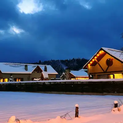 Abant Cozy Homes