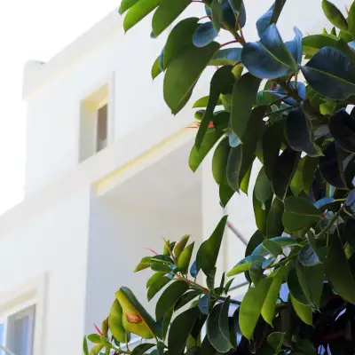 Açelya Hotel