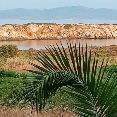 Akvaryum Otel