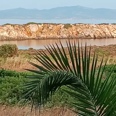 Akvaryum Otel