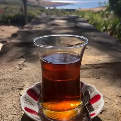 Akvaryum Otel