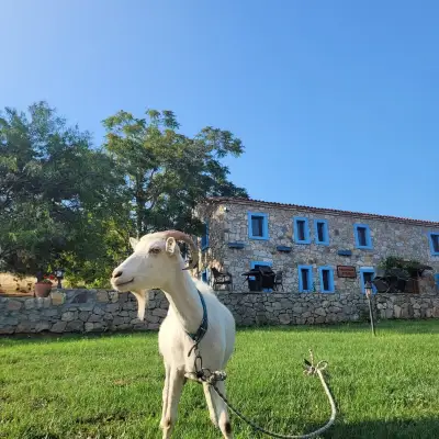 Ataol Tatil Çiftliği