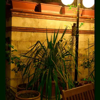 Boyugüzel Termal Hotel