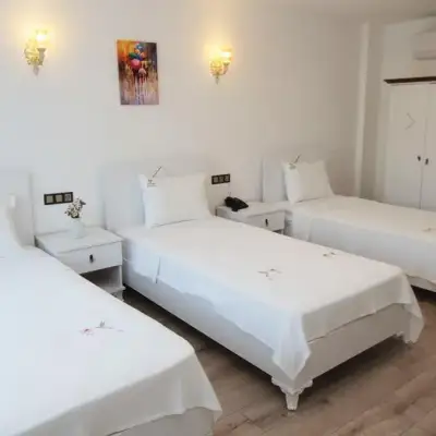 Duman Hotel