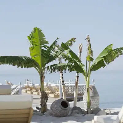 Glenn Hotel & Beach
