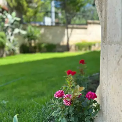 Helios Kaz Dağları