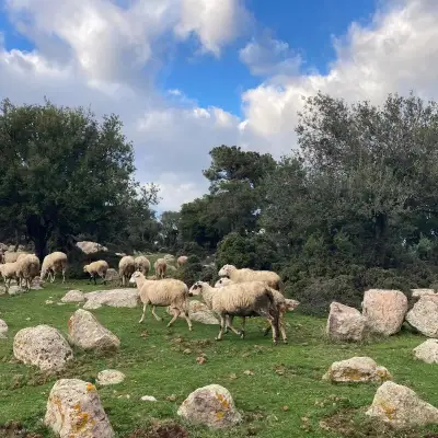 İki Oda Bir Avlu