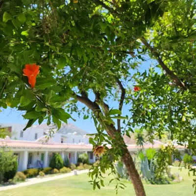 Kefi Beach & Suites