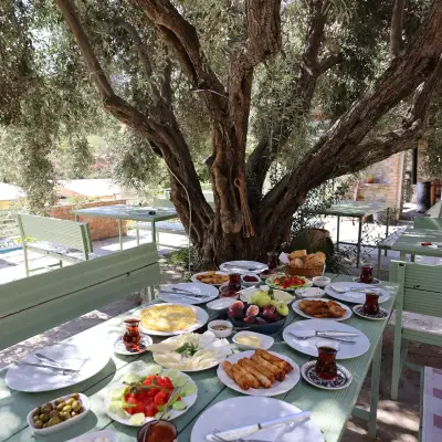 Kırkınca Dağ Evleri