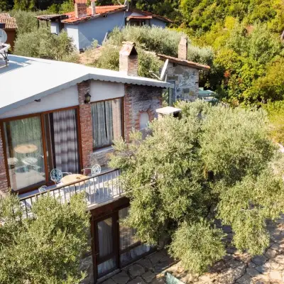 Kırkınca Dağ Evleri