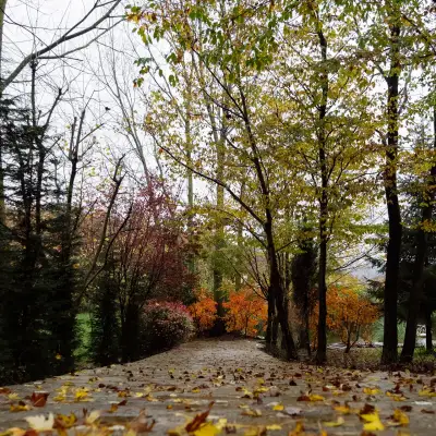 Casa Lavanda Otel & Spa, +12