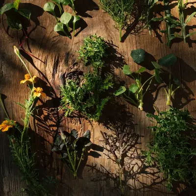 Casa Lavanda Otel & Spa, +12