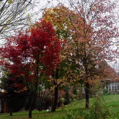 Casa Lavanda Otel & Spa, +12