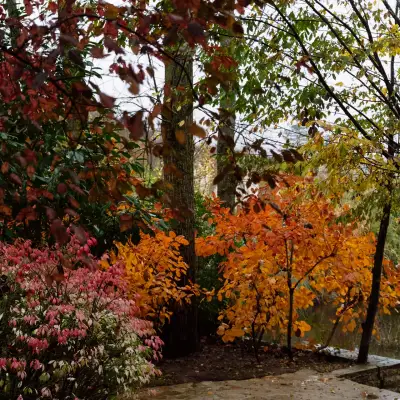 Casa Lavanda Otel & Spa, +12