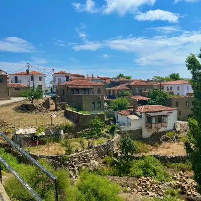 Laz Koyu Guest House