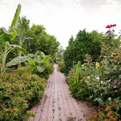 Lemon Garden Lodge
