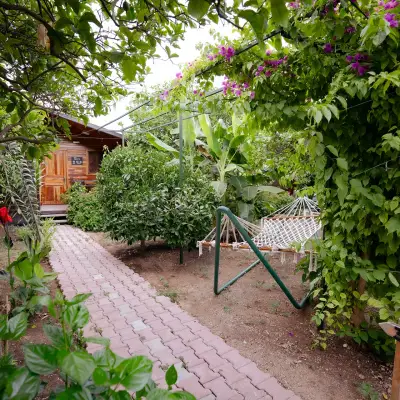 Lemon Garden Lodge