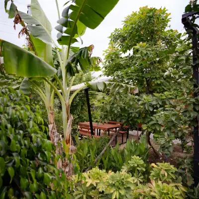 Lemon Garden Lodge