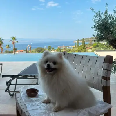 Assos Longevity Hotel