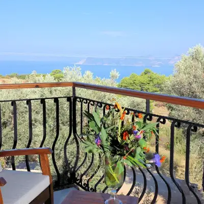 Mandarin & Mango Hotel,+12