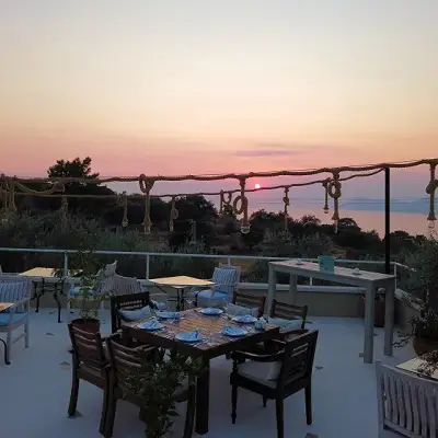 Mandarin & Mango Hotel,+12