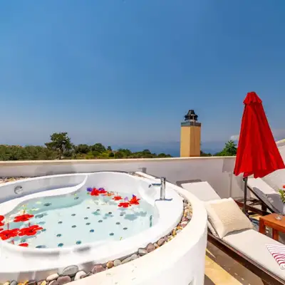 Mandarin & Mango Hotel,+12