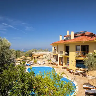 Mandarin & Mango Hotel,+12