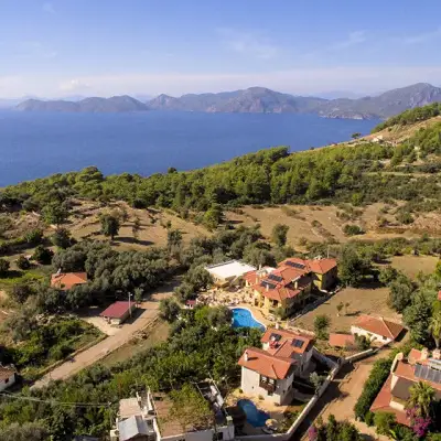 Mandarin & Mango Hotel,+12