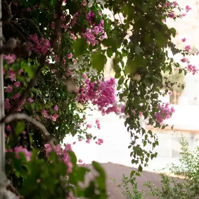 Mare Garden Hotel