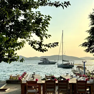 Nautilus Söğüt