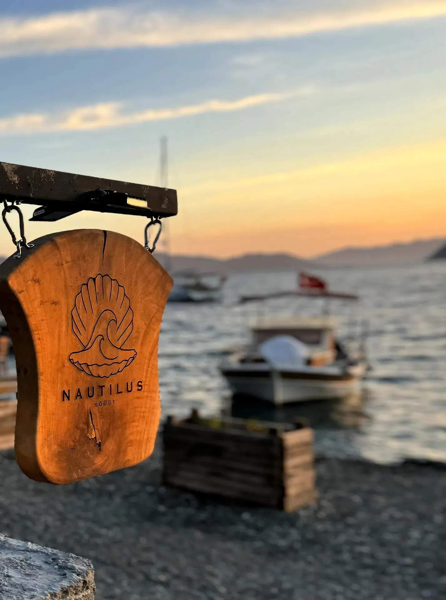 Nautilus Söğüt