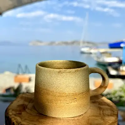Nautilus Söğüt