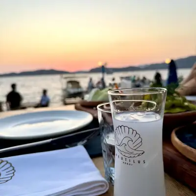 Nautilus Söğüt
