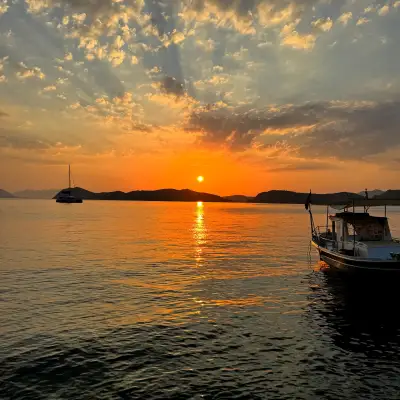 Nautilus Söğüt