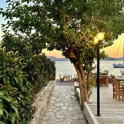 Nautilus Söğüt