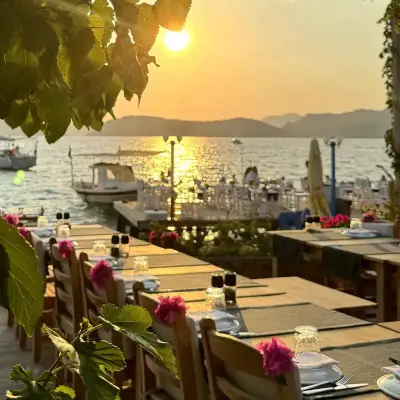 Nautilus Söğüt