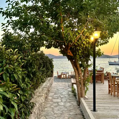 Nautilus Söğüt