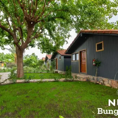 Nun BungaLove